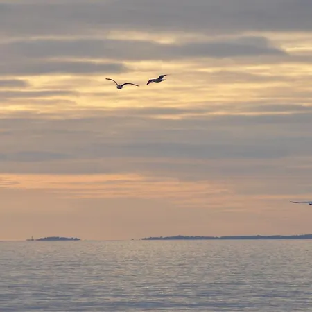 Belle Avec Piscine Dans Quartier Calme A - Fr-1-323-542 Holiday home