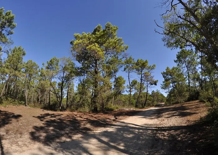 Belle Avec Piscine Dans Quartier Calme A - Fr-1-323-542 펜션