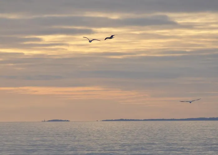 Belle Avec Piscine Dans Quartier Calme A - Fr-1-323-542 펜션